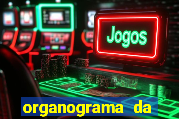 organograma da cacau show